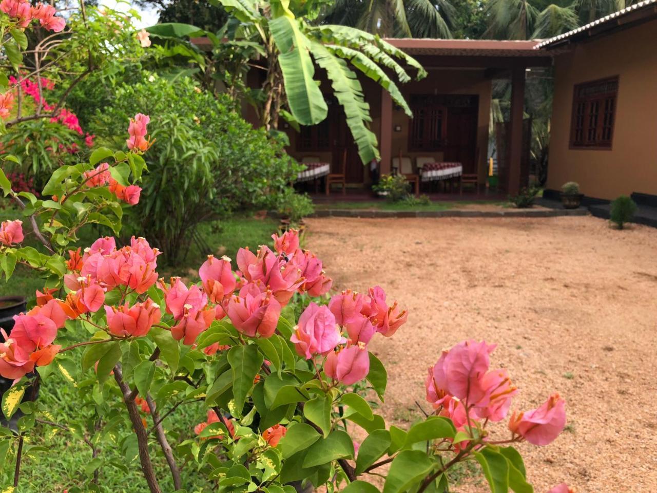 Sigiriya Nature Villa Lodge Exterior foto
