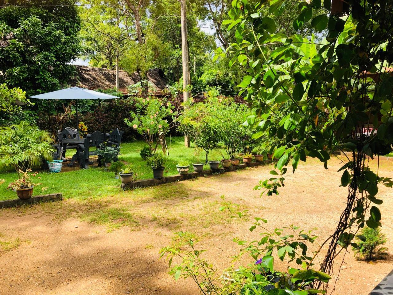 Sigiriya Nature Villa Lodge Exterior foto